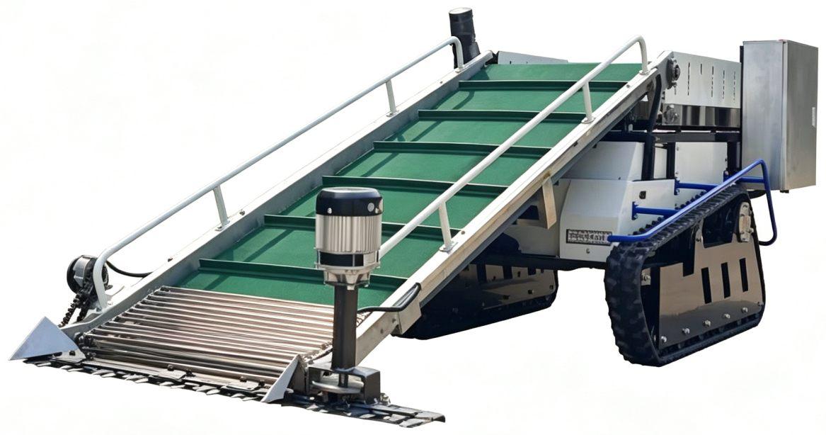 Baby cabbage harvester
